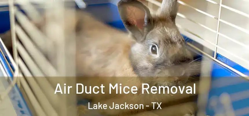 Air Duct Mice Removal Lake Jackson - TX