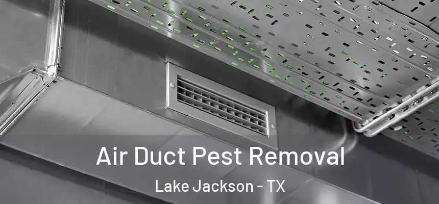  Air Duct Pest Removal Lake Jackson - TX