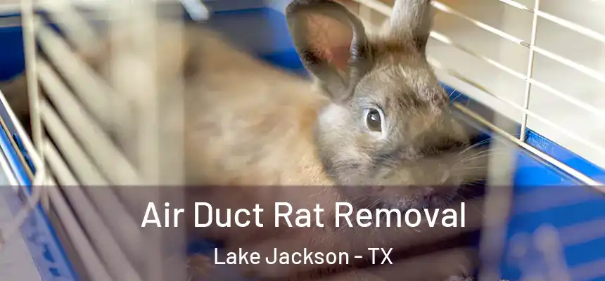 Air Duct Rat Removal Lake Jackson - TX