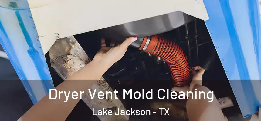 Dryer Vent Mold Cleaning Lake Jackson - TX