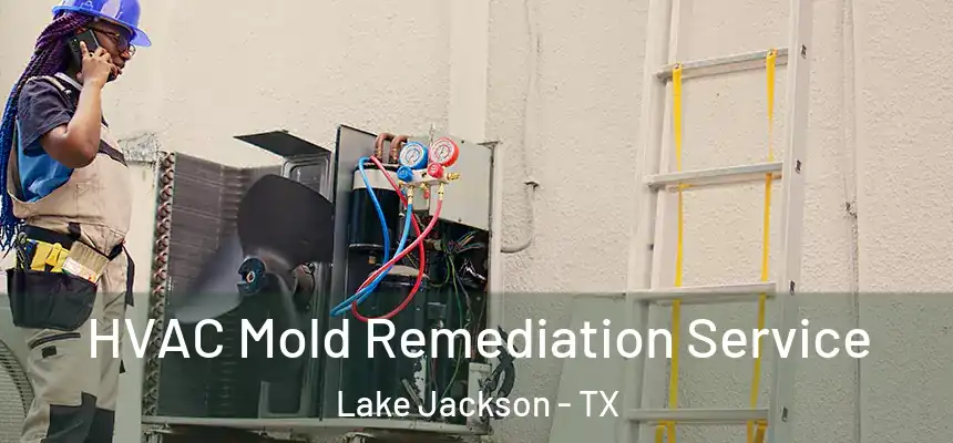 HVAC Mold Remediation Service Lake Jackson - TX
