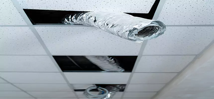 Our Air Duct Pet Hair Removal Services in Lake Jackson, TX