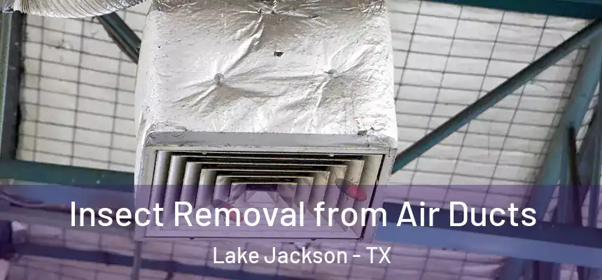 Insect Removal from Air Ducts Lake Jackson - TX