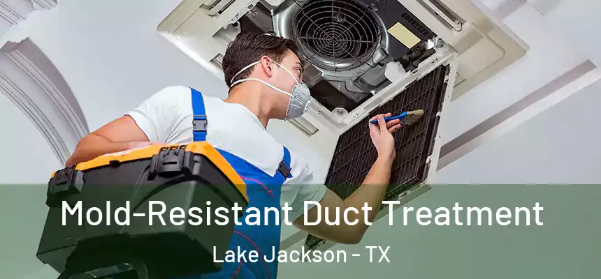 Mold-Resistant Duct Treatment Lake Jackson - TX