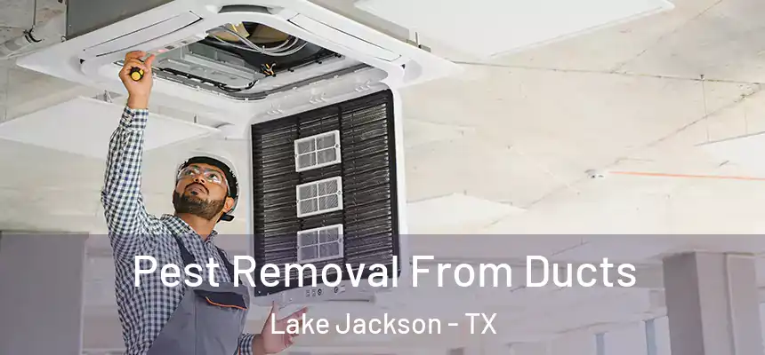 Pest Removal From Ducts Lake Jackson - TX