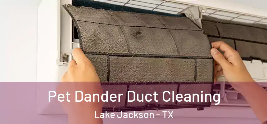 Pet Dander Duct Cleaning Lake Jackson - TX