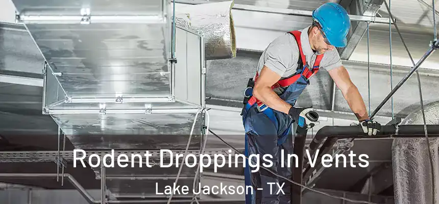  Rodent Droppings In Vents Lake Jackson - TX
