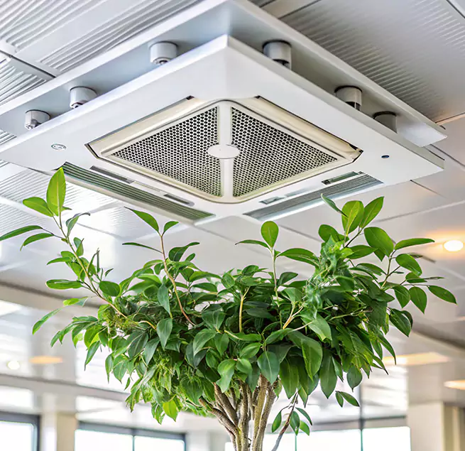 Why Homeowners & Businesses Trust Us in Lake Jackson, TX?