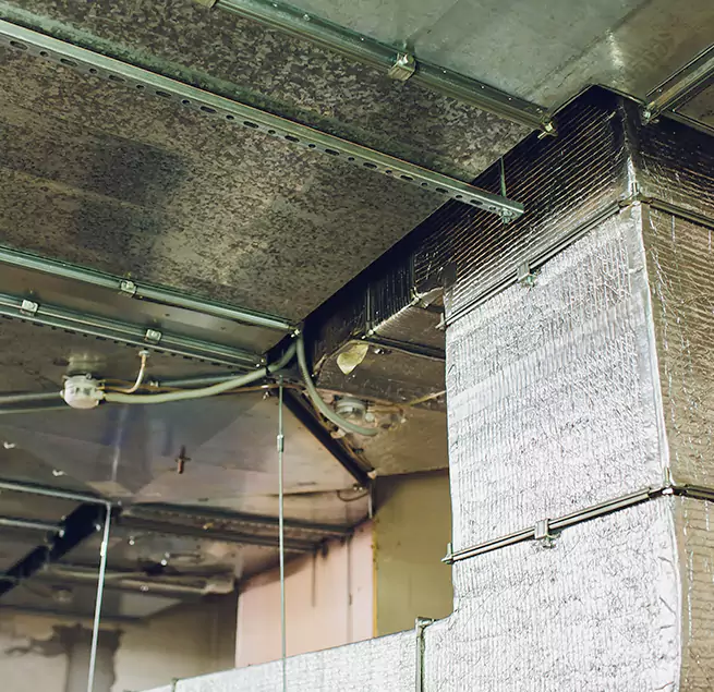 Why Homeowners & Businesses Trust Us in Lake Jackson, TX?