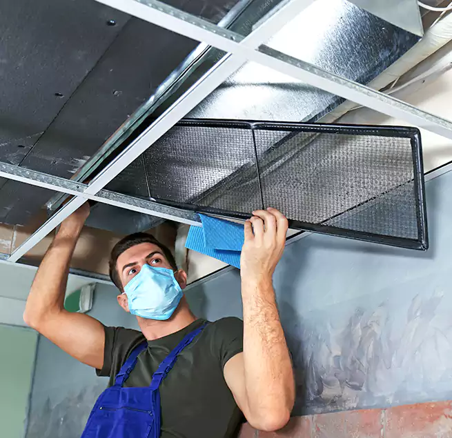 Why Homeowners Businesses Trust Us in Lake Jackson, TX